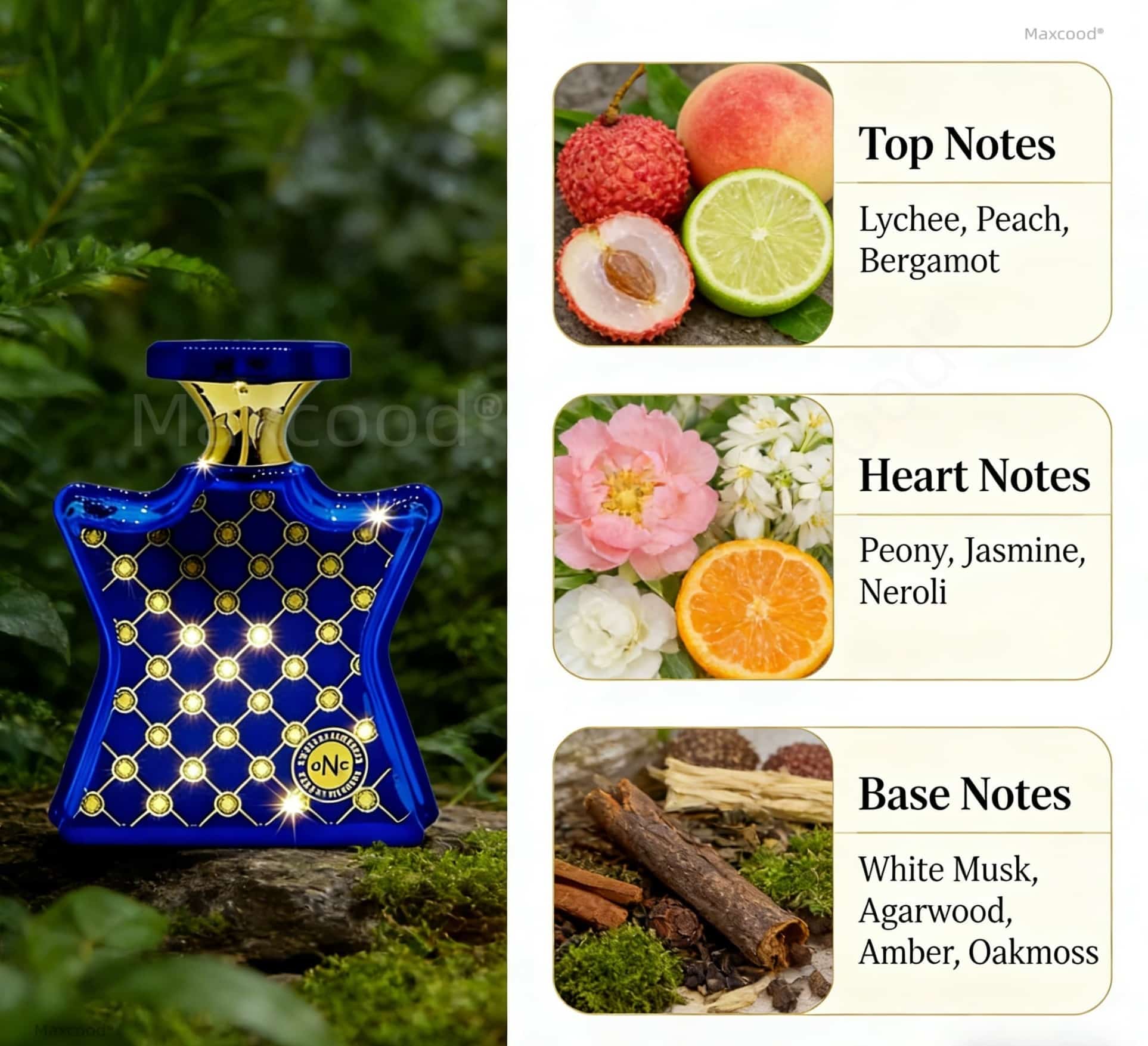 عطر حمضيات وزهور يدوم طويلاً،  - مراجعة Perfume Luxury Fragrance وسعره