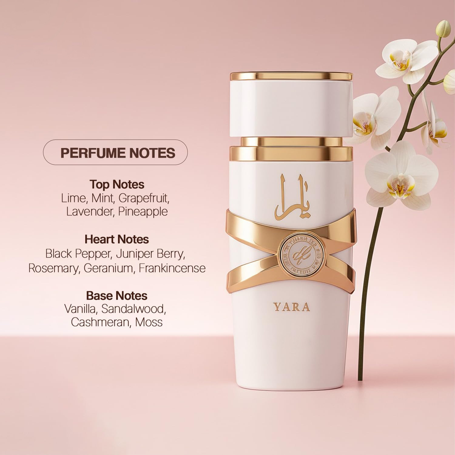 يارا موي - عطر زهري، فاكهي، غو - مراجعة Yara Perfume Fragrance وسعره